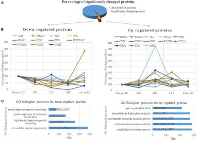 Proteomic Characterization of Dry Blood Spots of Healthy Women During Simulation the Microgravity Effects Using Dry Immersion